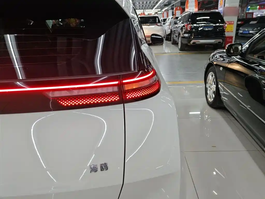 BYD Seagull 2025 305km Vitality фото 8