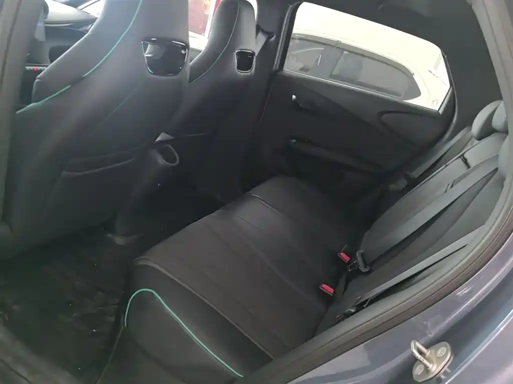 BYD Dolphin 2023 401km Knight Edition фото 13