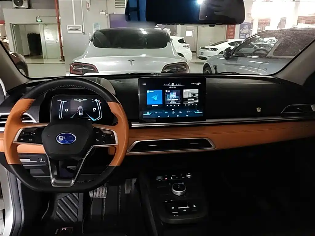 BYD e2 2021 Luxury Edition фото 10
