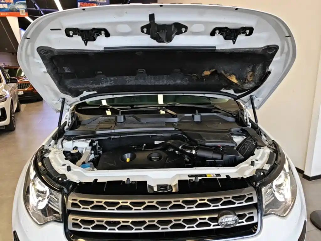 Фото 13 - Land Rover Discovery Sport