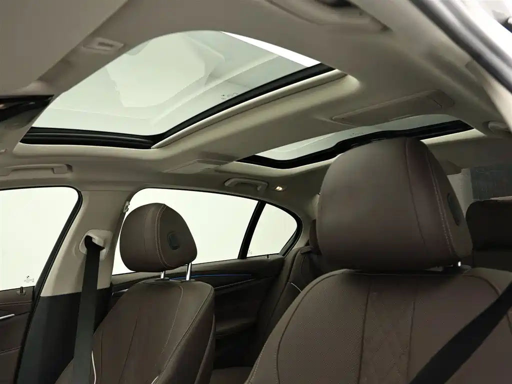 BMW 5 Series New Energy 2021 535Le Luxury Package фото 14