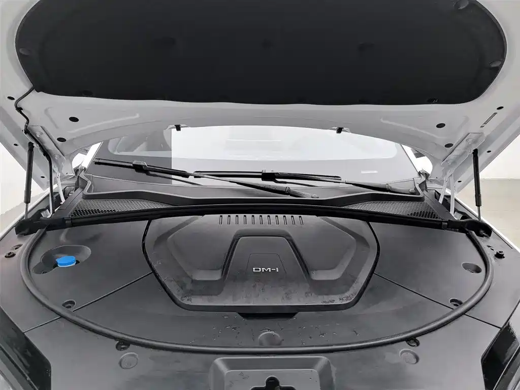 BYD Song PLUS PHEV 2024 Glory Edition DM-i 110km Flagship фото 6