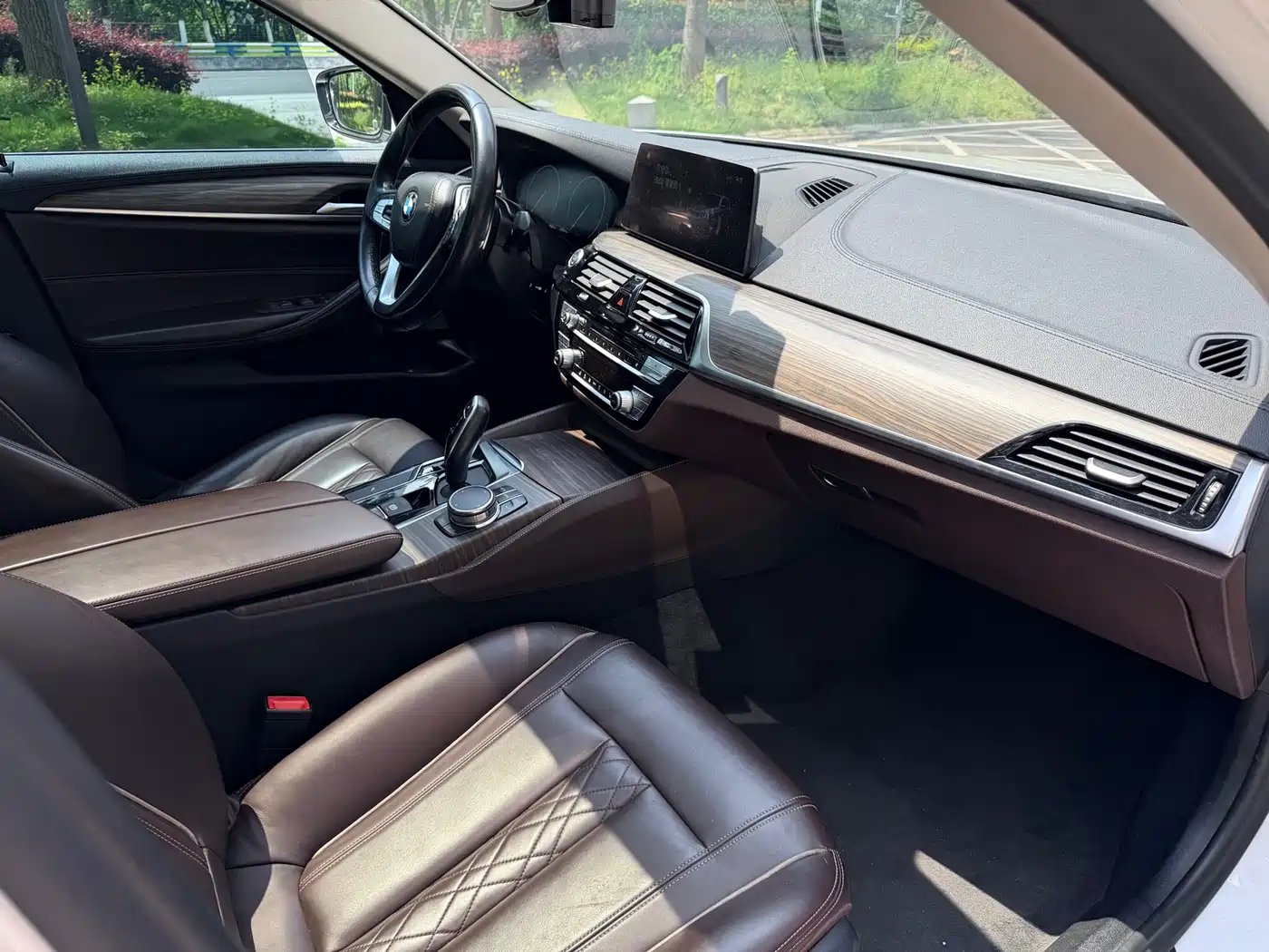 BMW 5 Series 2019 530Li xDrive Luxury Package фото 14