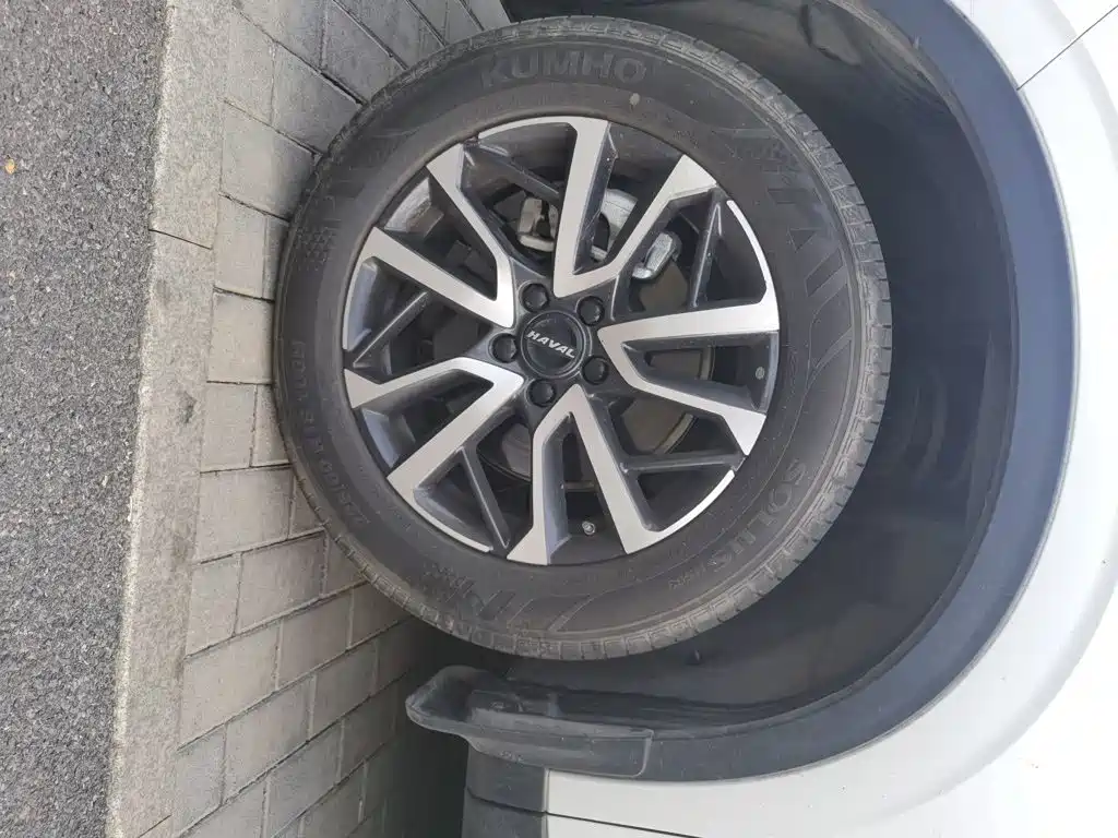 Haval H6 2025 2024 Model 1.5T 2WD Classic Edition