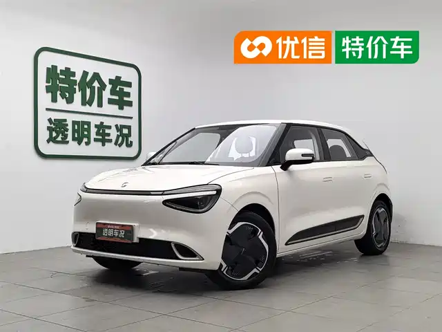 Dongfeng Yipai Nano 01 2024 430 Plus
