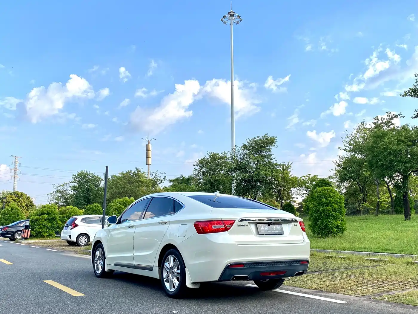 Фото 6 - Geely Borui