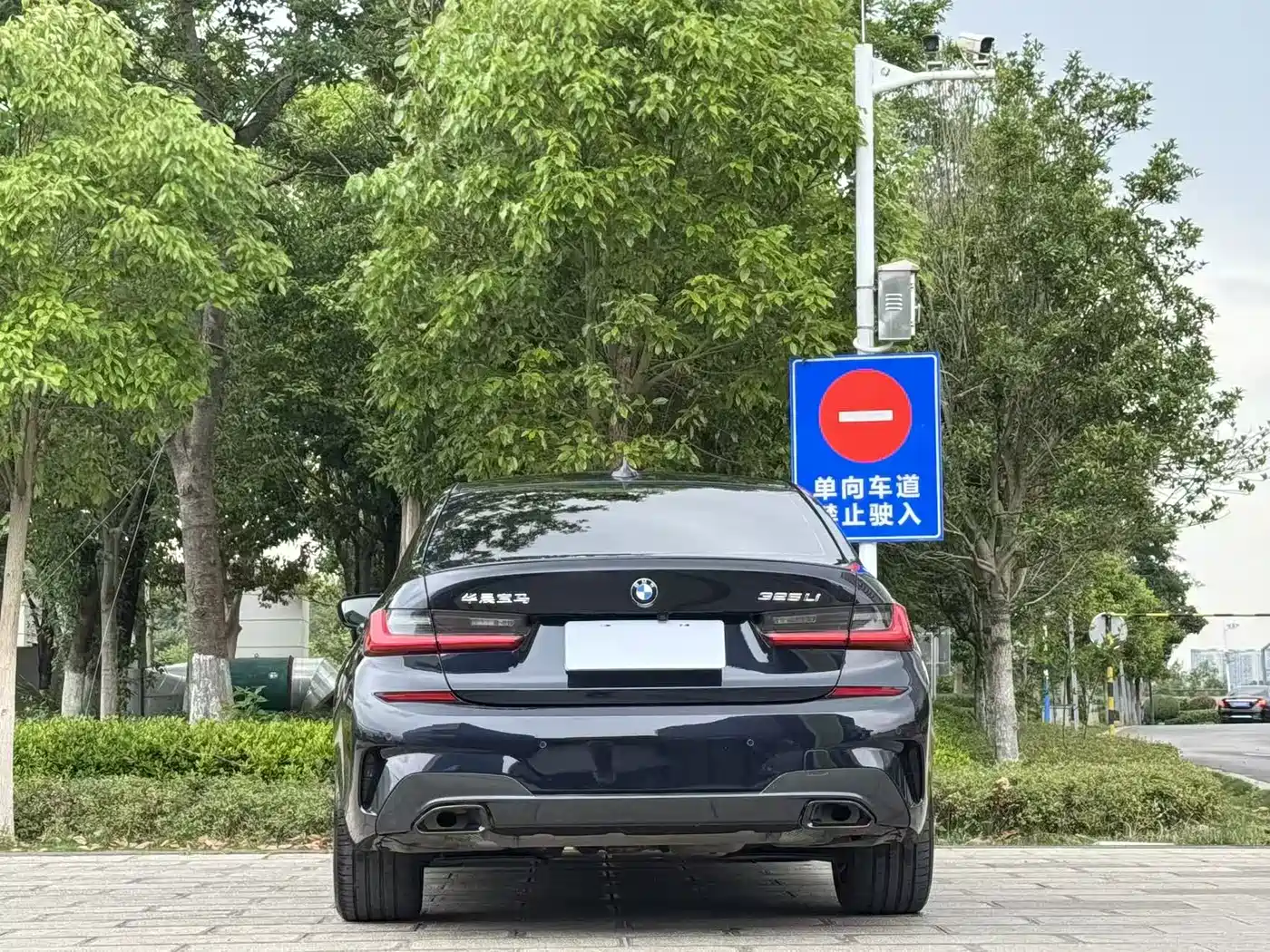 BMW 3 Series 2020 325Li M Sport Black Night Package фото 8