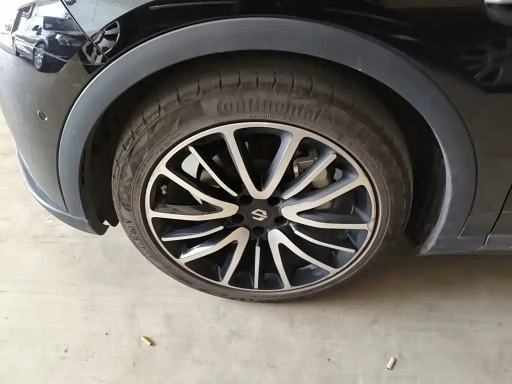 Leapmotor C11 2022 2021 Luxury Edition