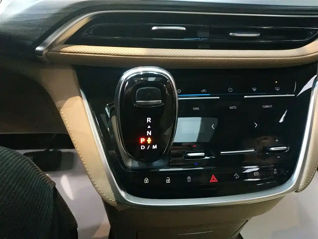 Buick GL8 2021 ES Landlord 653T Premium фото 10