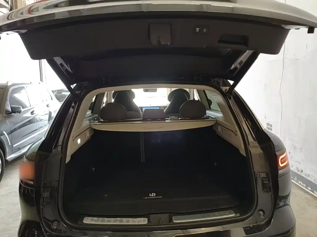 Leapmotor C11 2022 2021 Luxury Edition