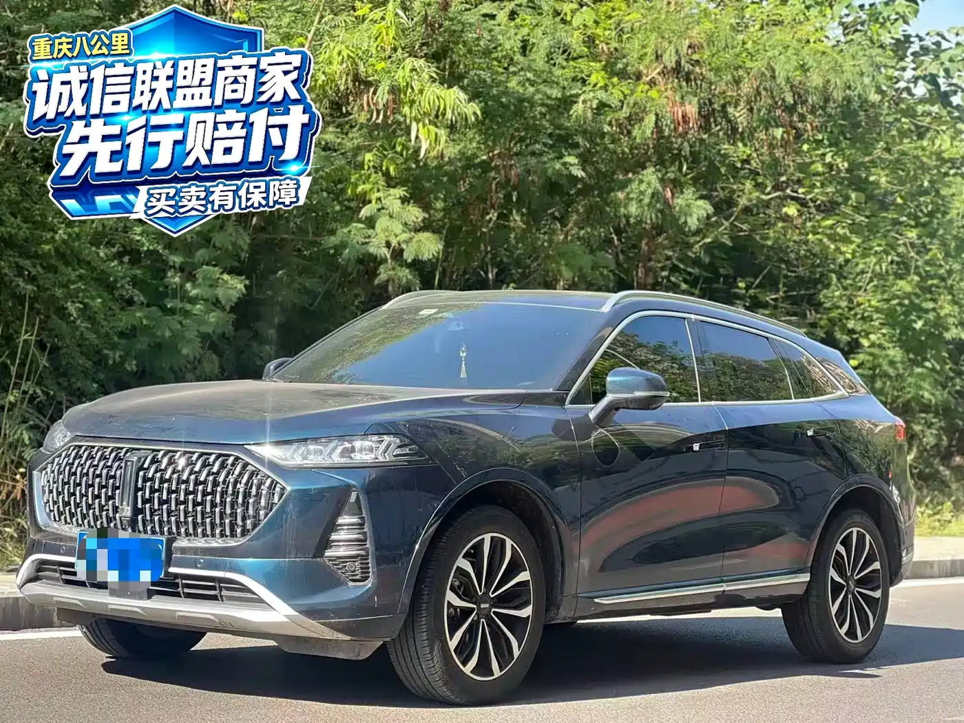 WEY Mocha 2022 2021 2.0T 2WD Premium Edition