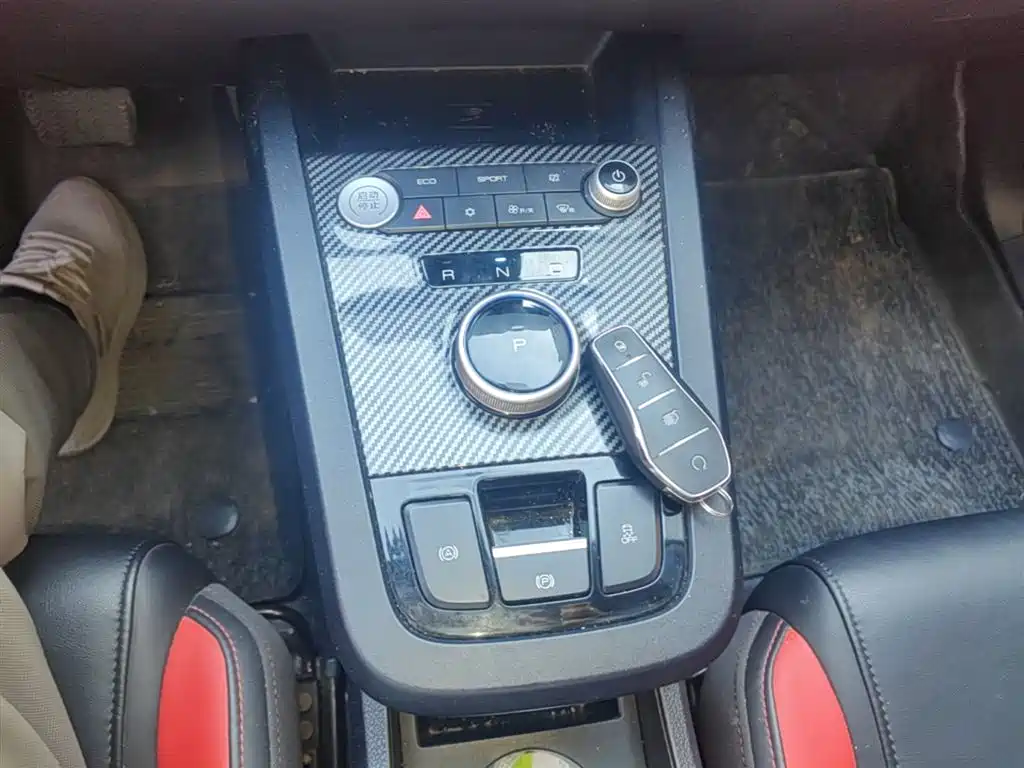 BYD e2 2020 Upgraded Long Range Luxury фото 14