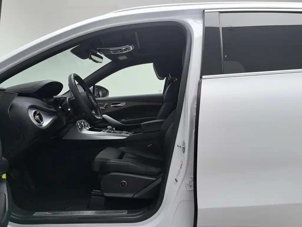 Denza X 2021 2020 Model PHEV Flagship Edition
