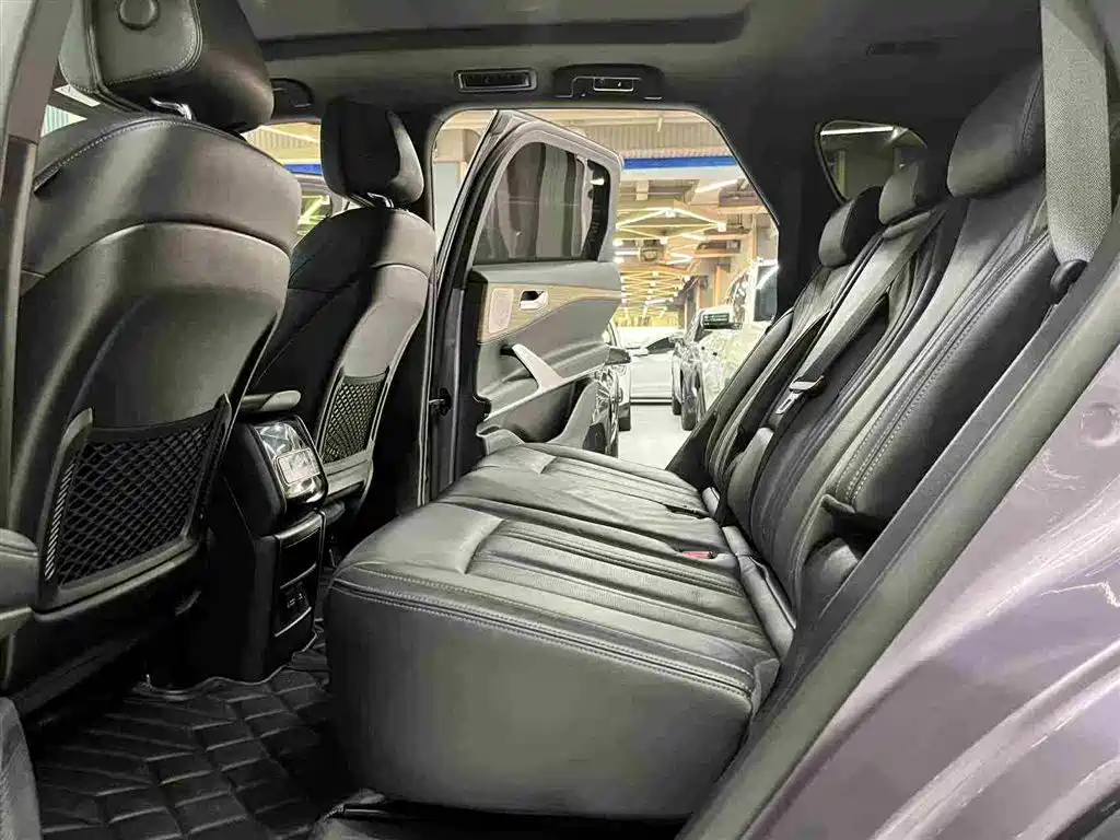 Denza X 2020 Model PHEV Flagship Edition фото 18