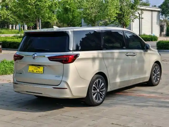 Buick GL8 2022 ES Landmark 653T Luxury фото 4