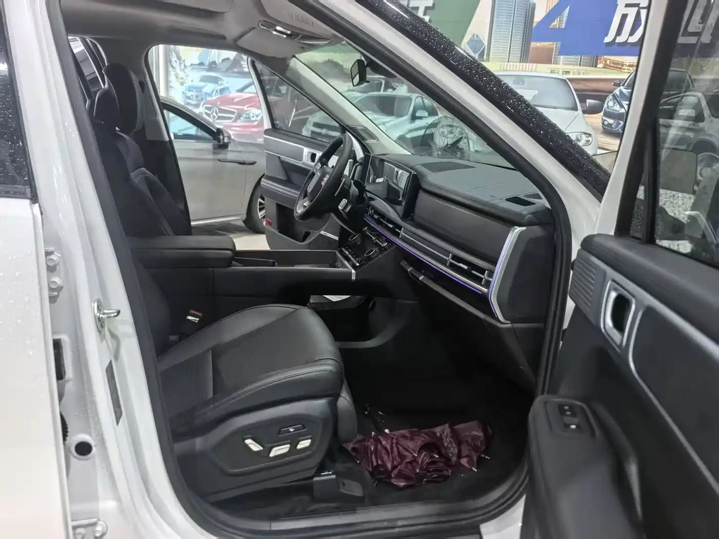 Hyundai Santa Fe 2025 2024 2.0T Connoisseur Pro Max