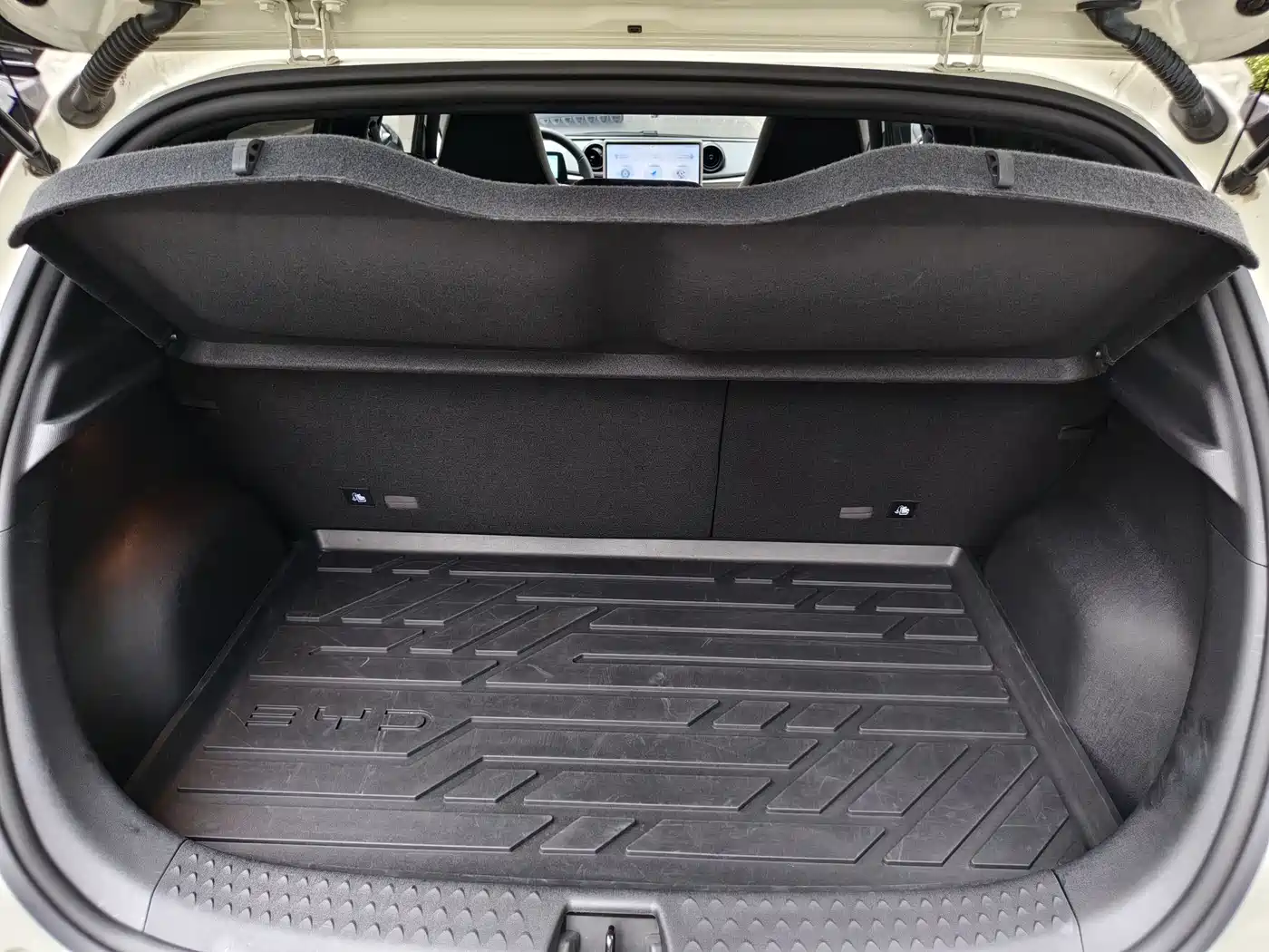 BYD Dolphin 2025 420km Fashion Edition фото 13