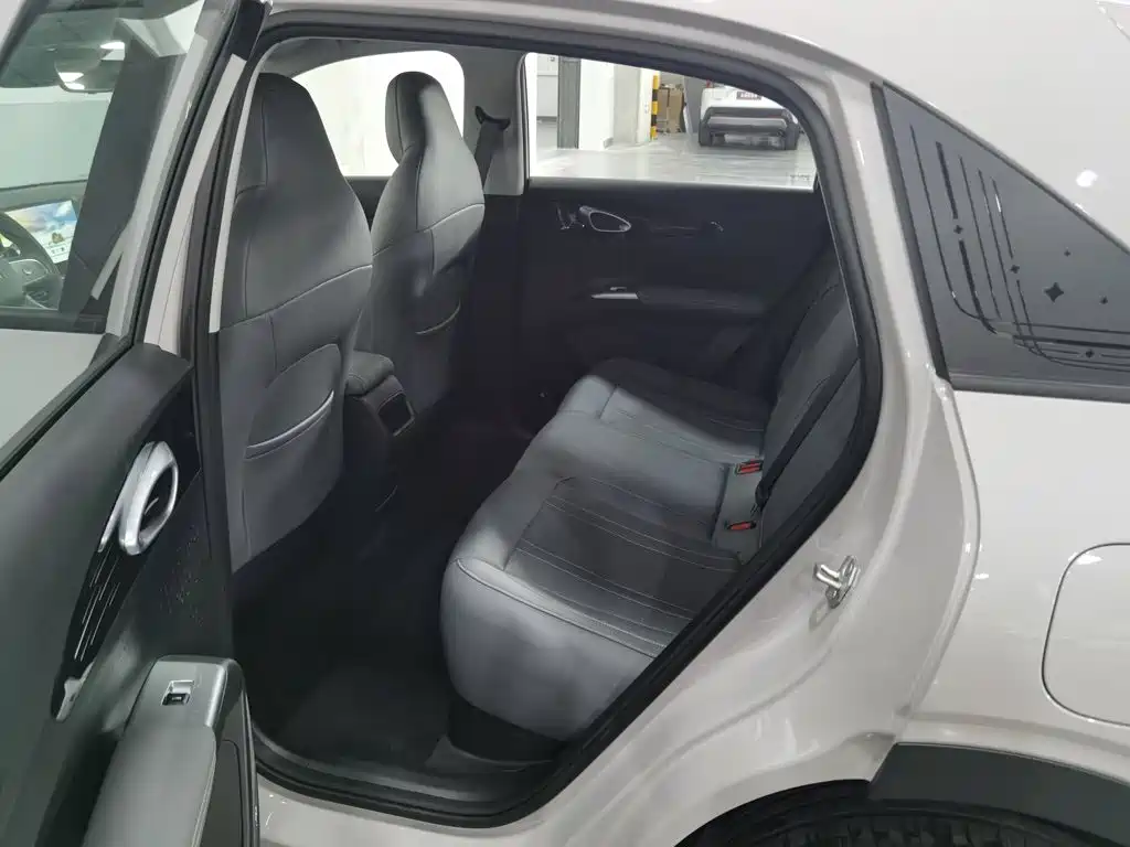 Geely Galaxy Starry Wish 2026 2026 Edition 310km Youth Version