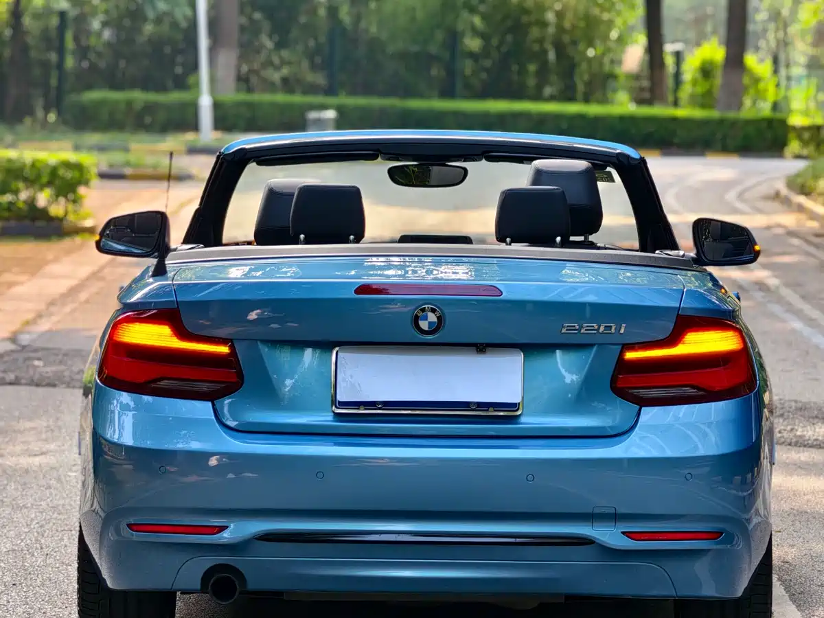 BMW 2 Series (Import) 2018 220i Convertible Coupe Sport Design Package фото 5
