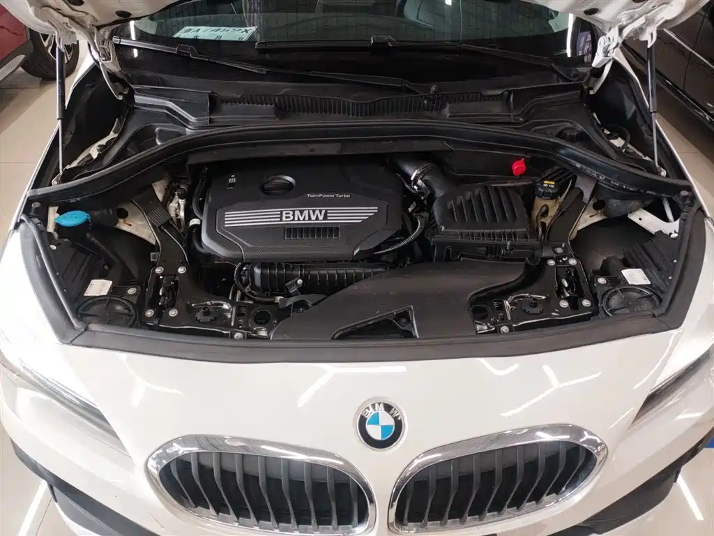 BMW 2 Series Gran Tourer 2019 220i Leading фото 20