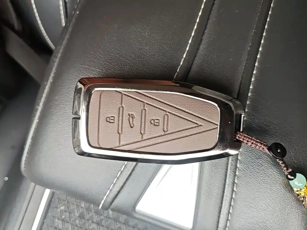 Venucia DaV DD-i 2023 2023 110km iE Edition