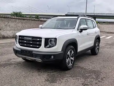 Haval Dargo