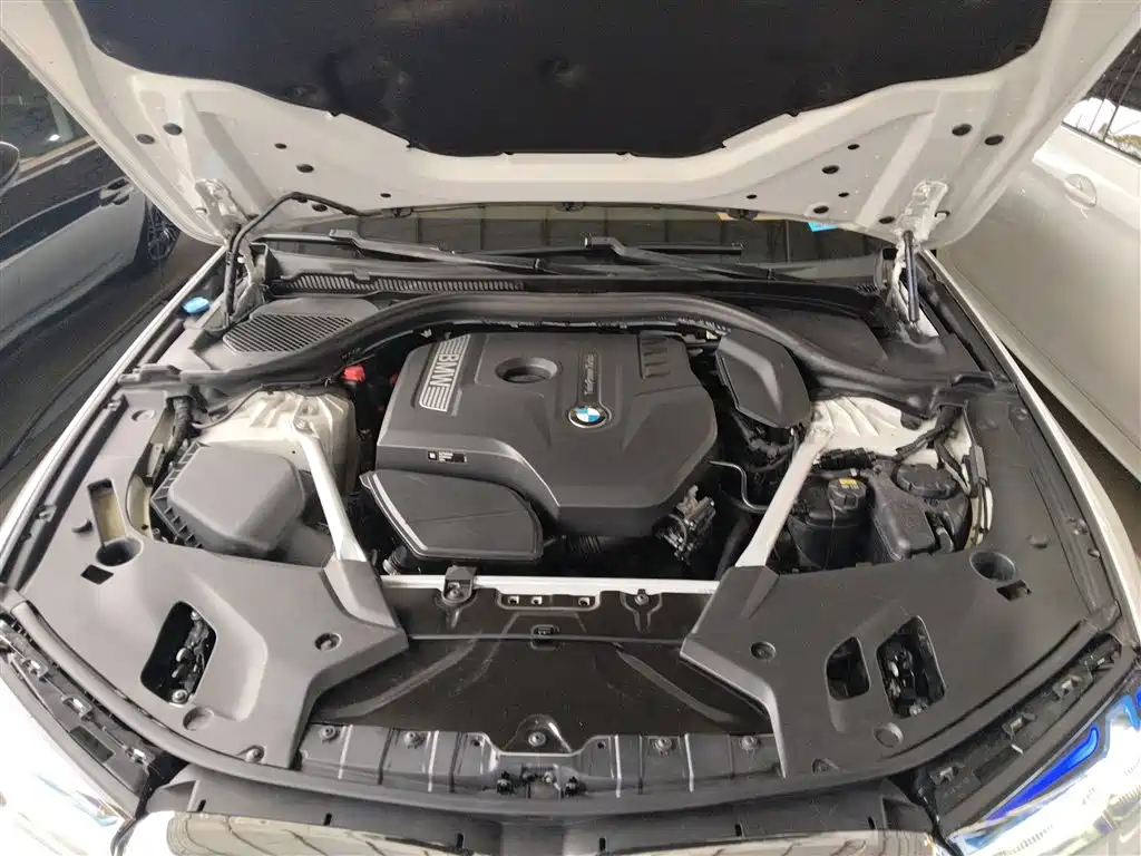 BMW 5 Series 2019 530Li Leading M Sport Package фото 16