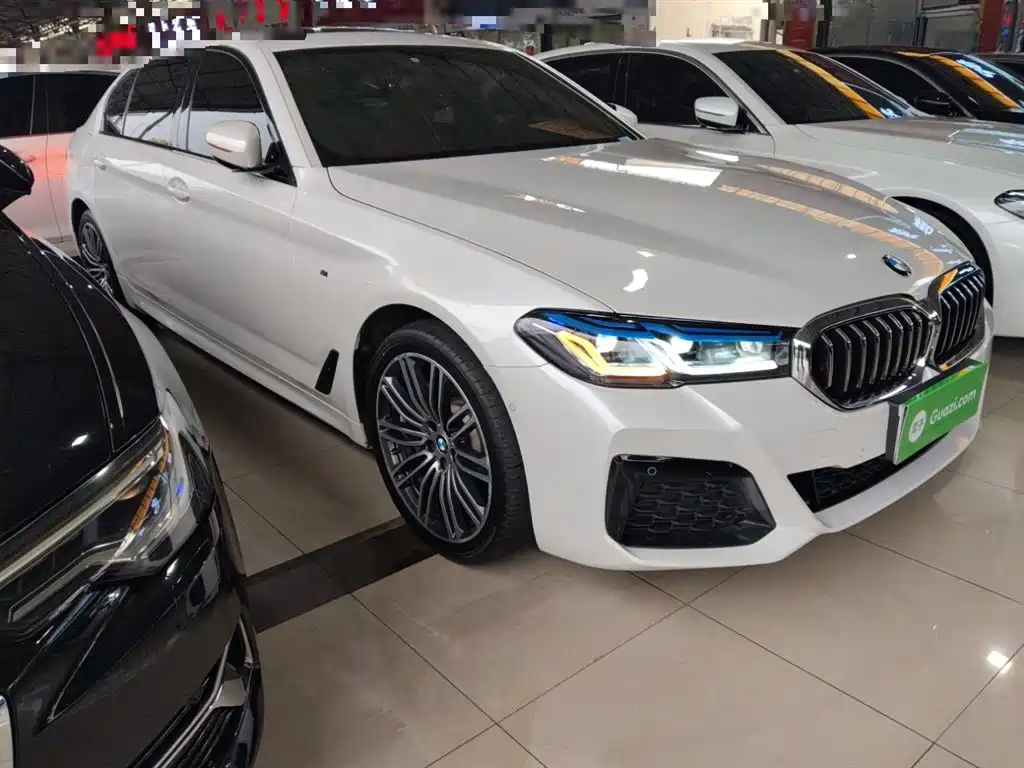 BMW 5 Series 2019 530Li Leading M Sport Package фото 22