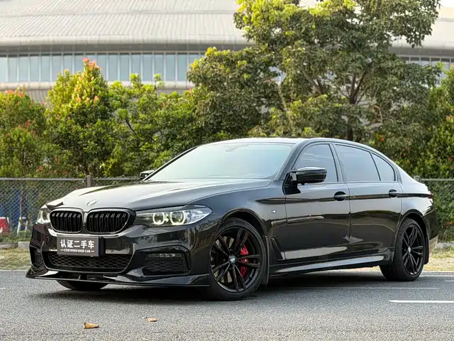 BMW 5 SERIES
