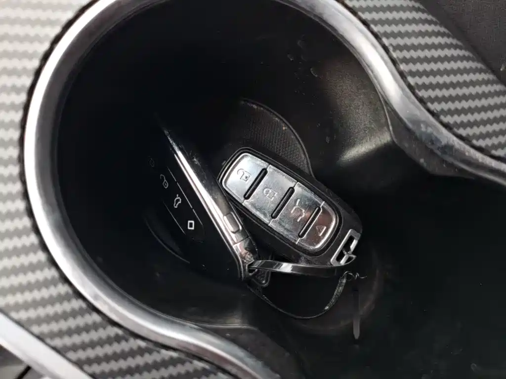 Yema Auto Bojun 2020 2019 Performance Edition 1.5T CVT LingDong Type