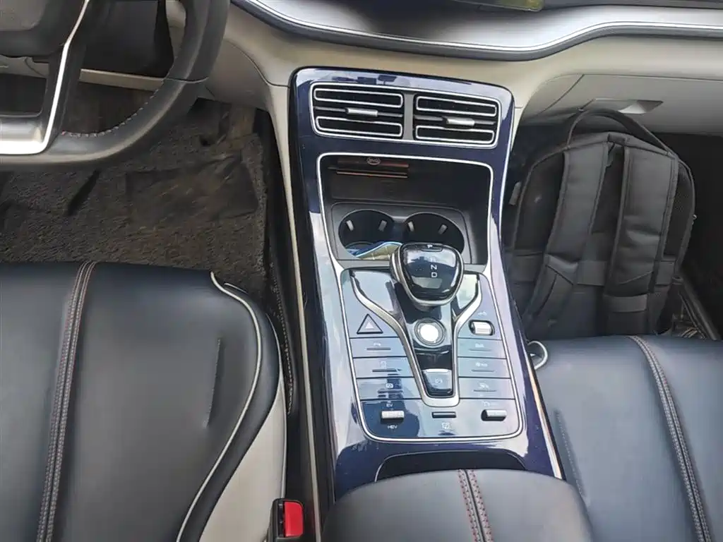 BYD Qin PLUS 2021 DM-i 55KM Flagship фото 14