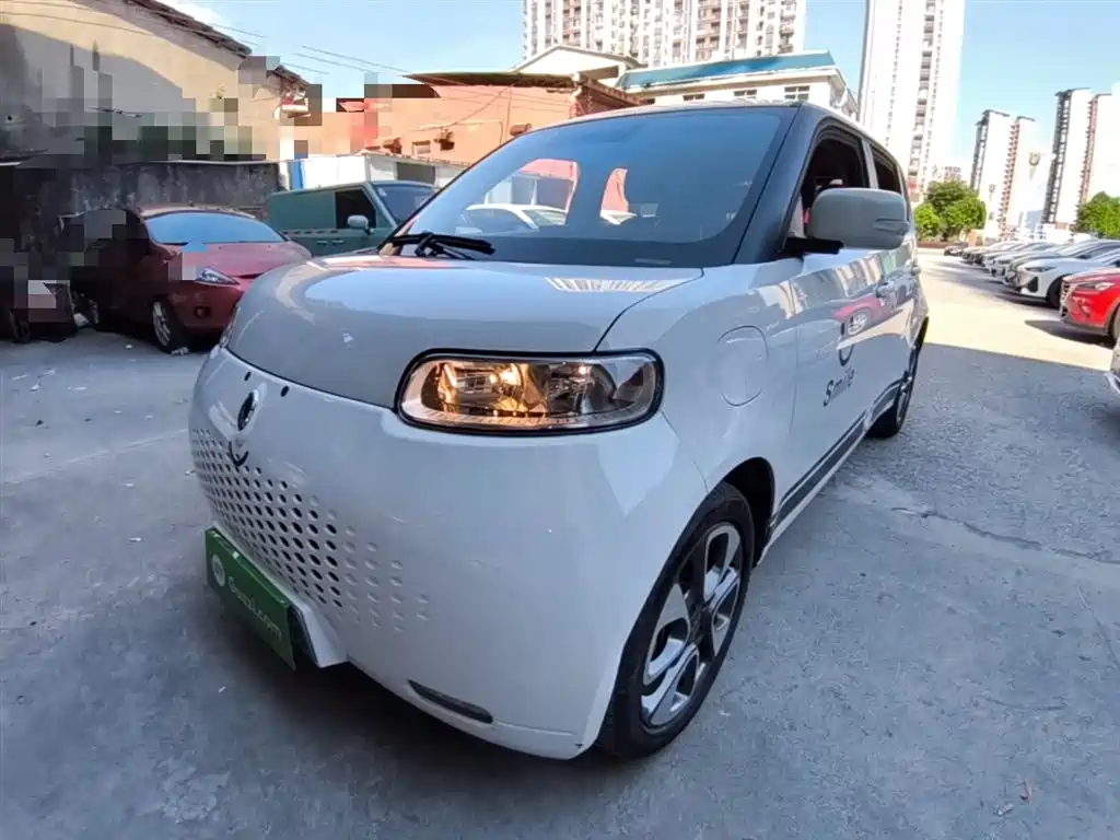 Ora White Cat 2020 305km Luxury