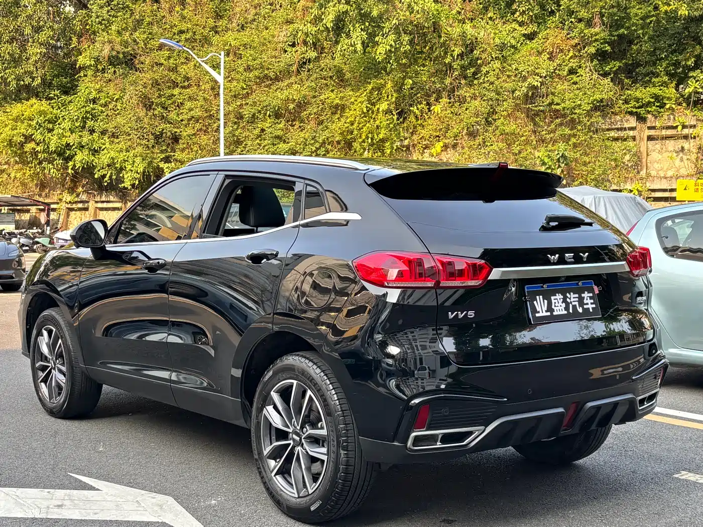 WEI PAI WEI BRAND VV5