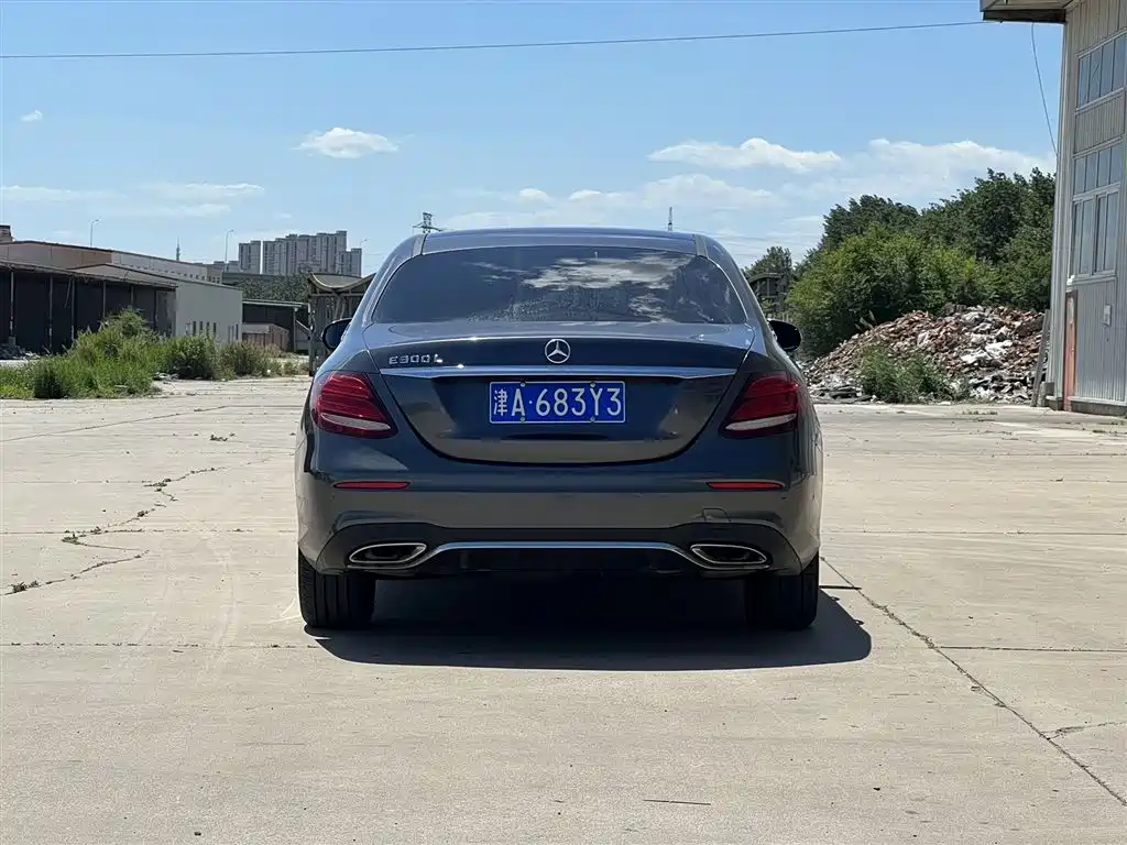 Mercedes-Benz E-Class 2018 Facelift E 300 L Sport Luxury фото 5