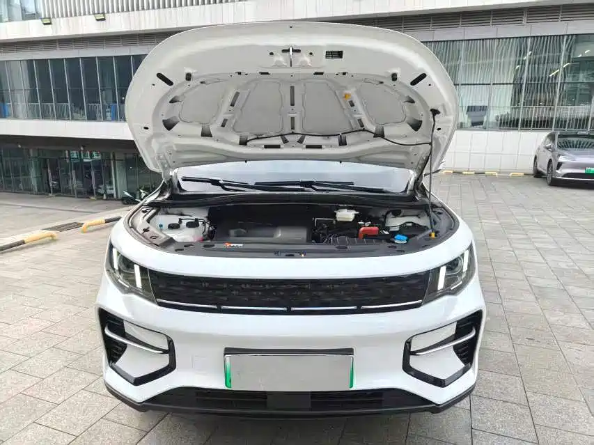Geely Radar Radar King Kong 2025 2025 EM-P 4WD Long Bed Thousand-Mile King Kong