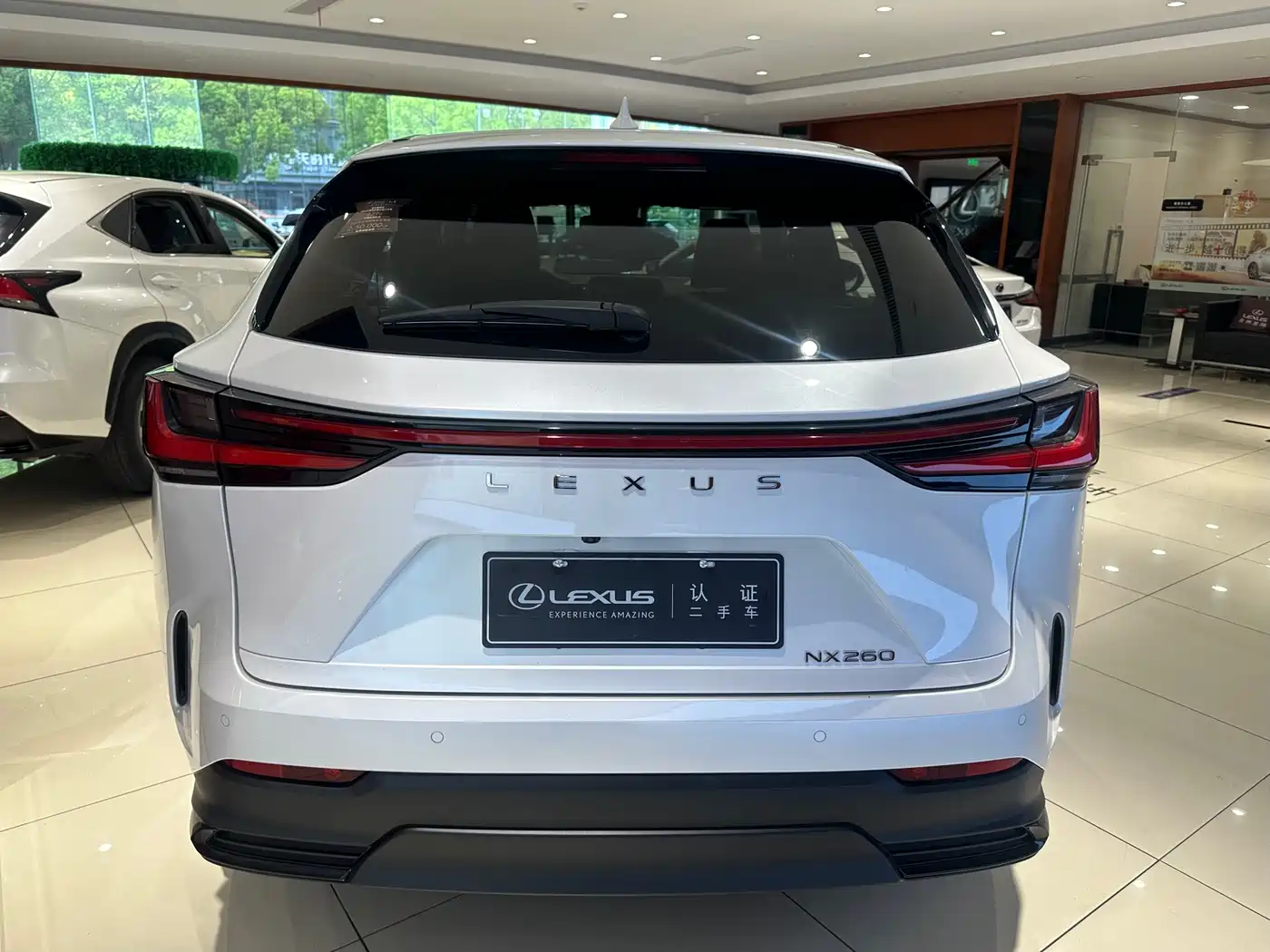 LEXUS NX