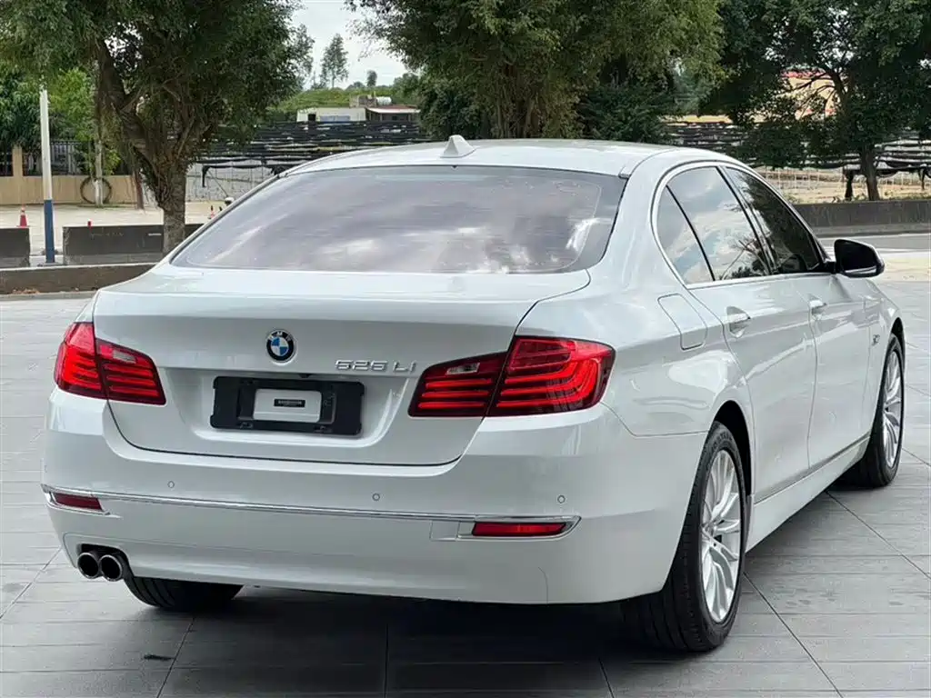 BMW 5 Series 2014 525Li Luxury Design Package фото 8