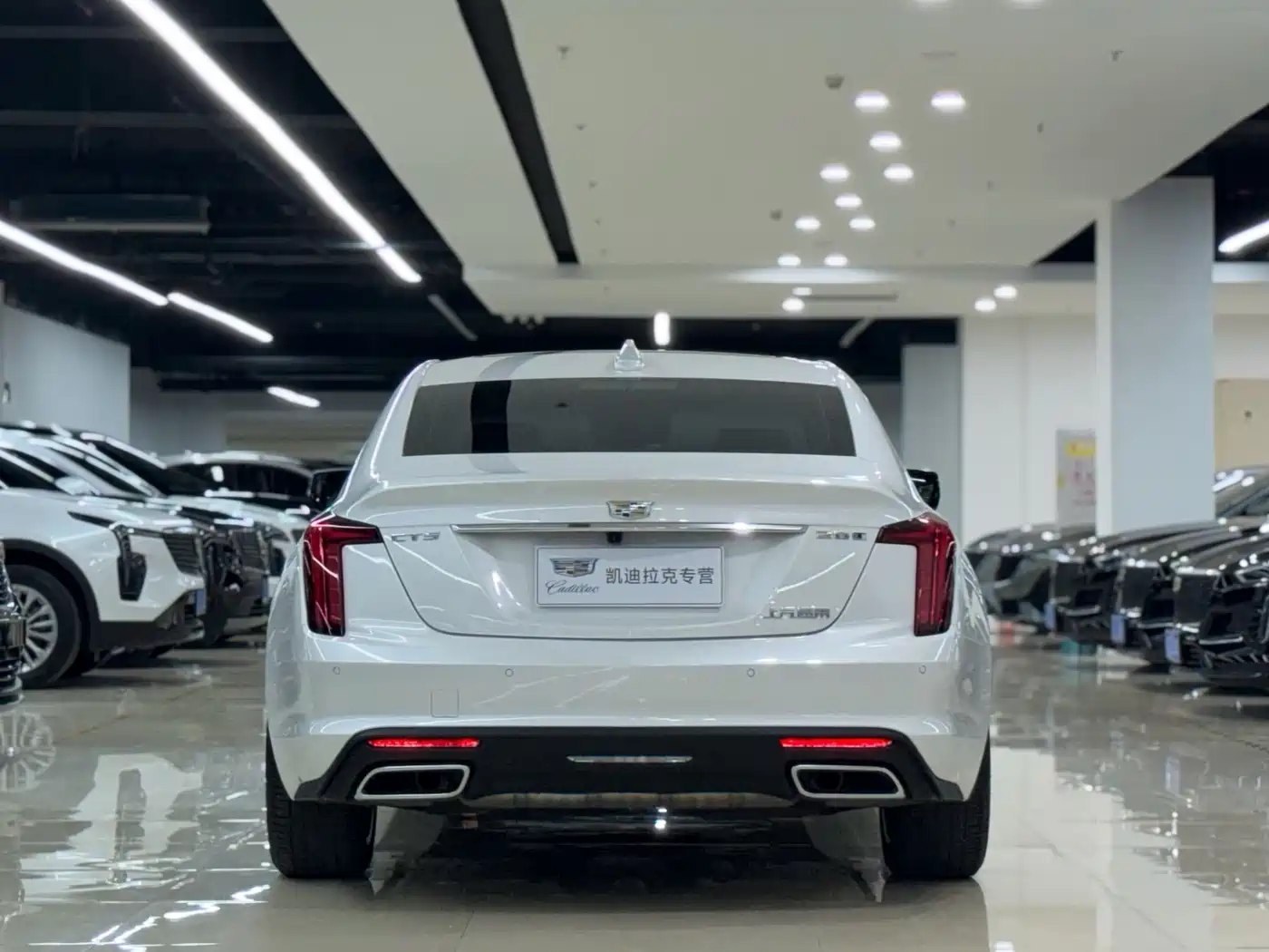 Фото 6 - Cadillac CT5