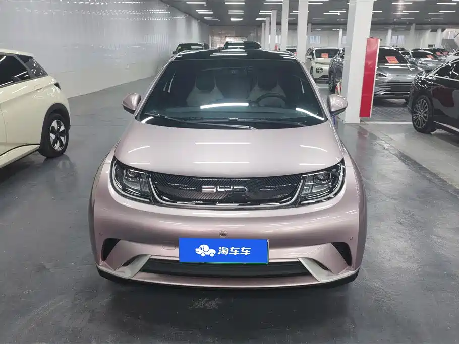 BYD Dolphin 2023 420km Fashion Edition фото 2