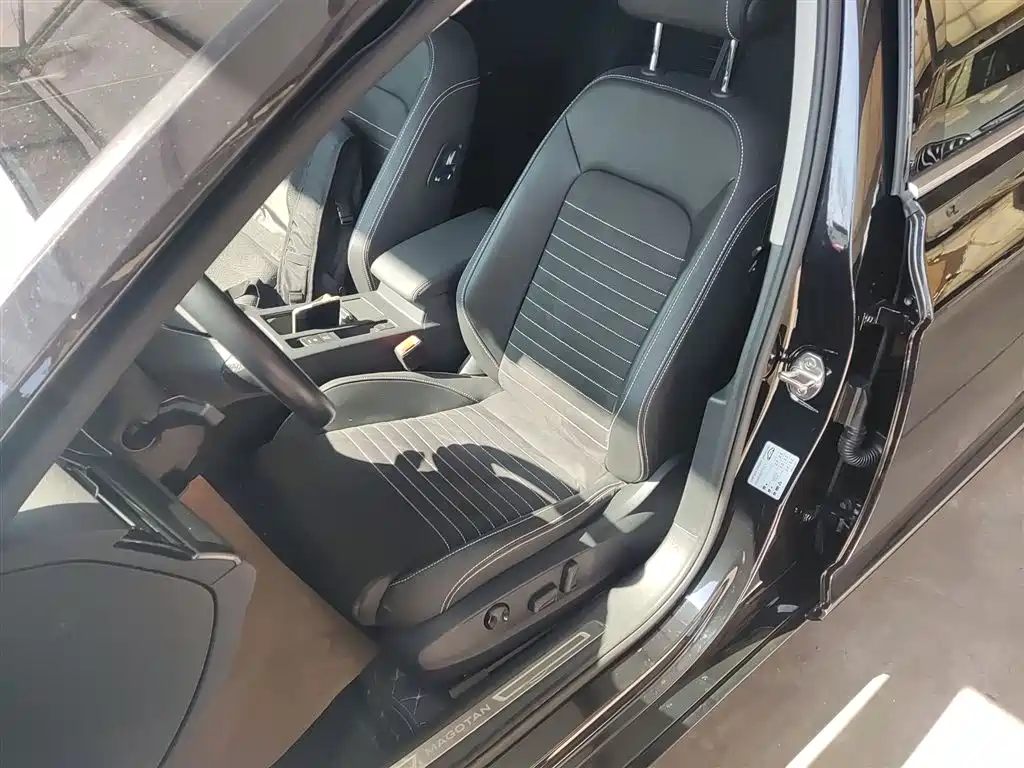 Volkswagen Magotan 2020 330TSI DSG Luxury фото 11