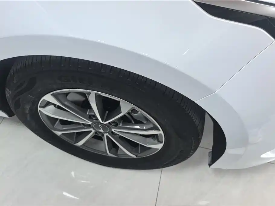 BYD Destroyer 05 2024 DM-i 55KM Pilot Glory Edition фото 6