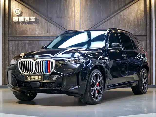 BMW X5 2024