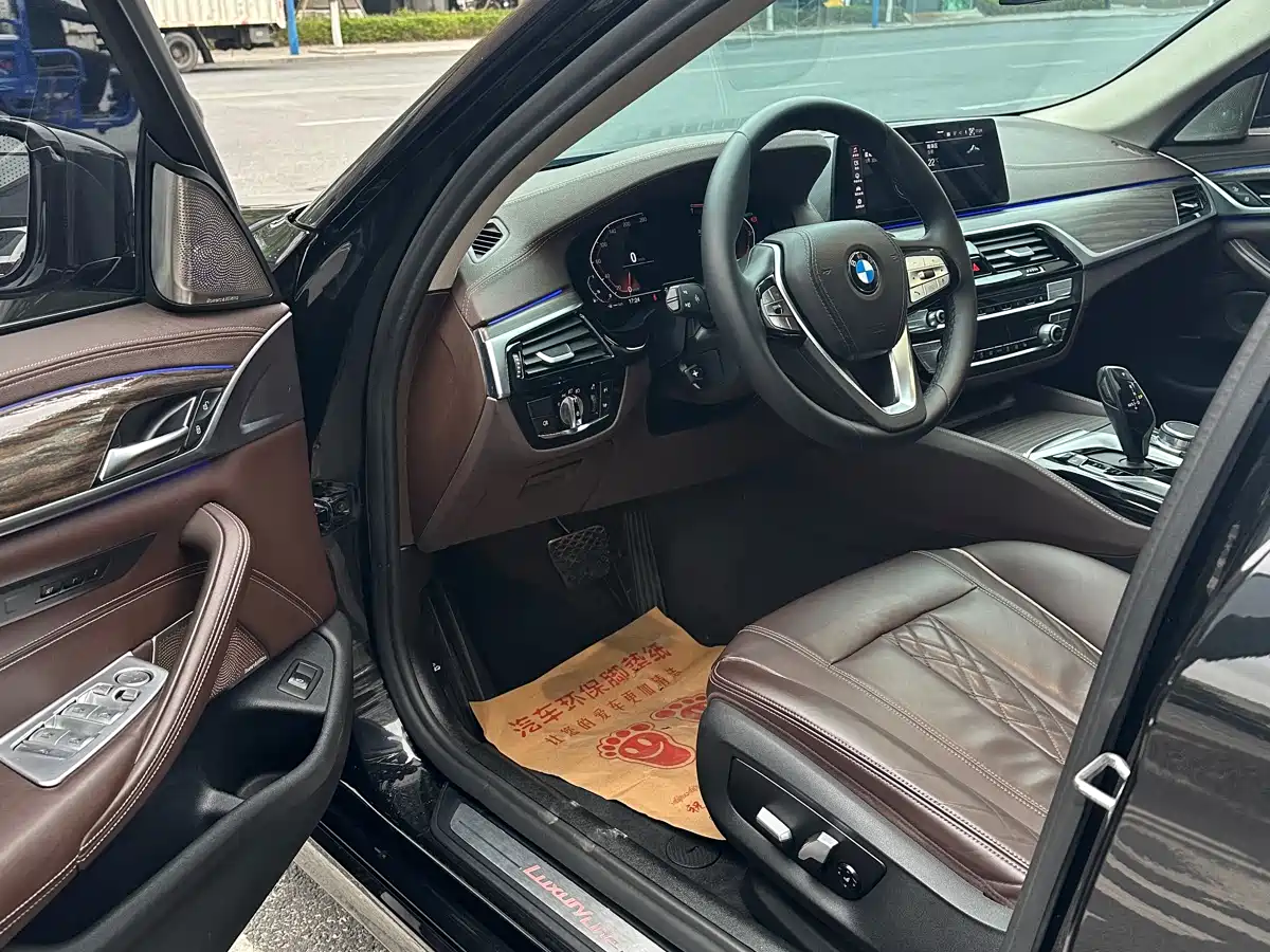 BMW 5 Series 2020 530Li Leading Luxury Package фото 7