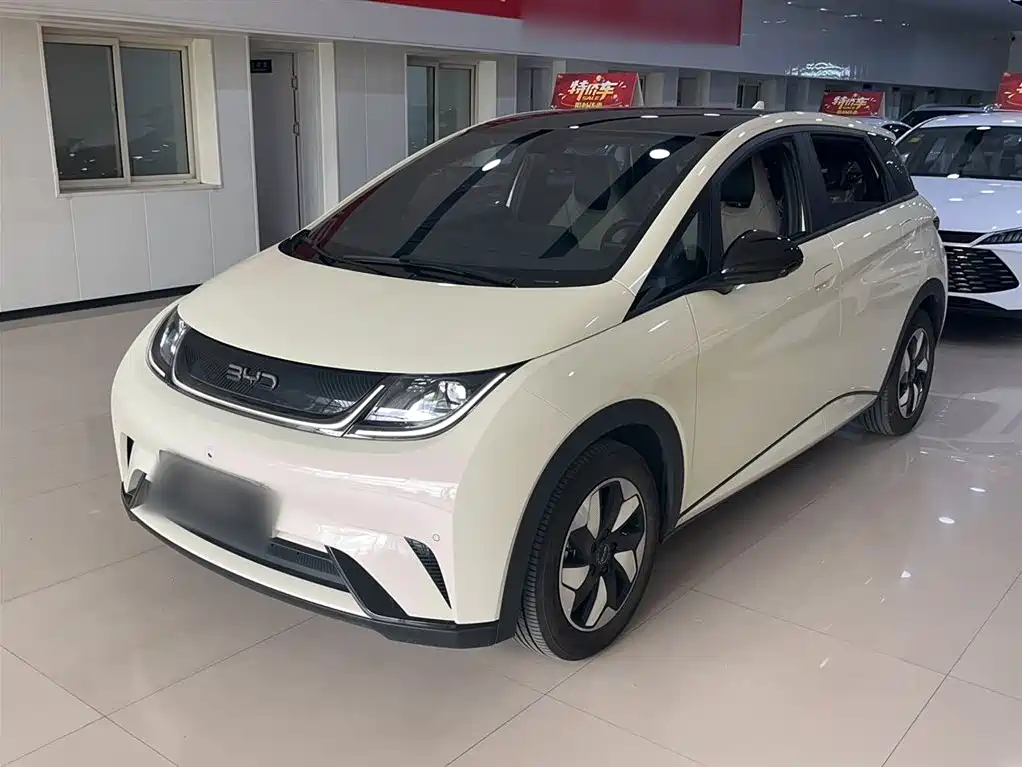 BYD Dolphin 2025 420km Fashion Edition фото 2