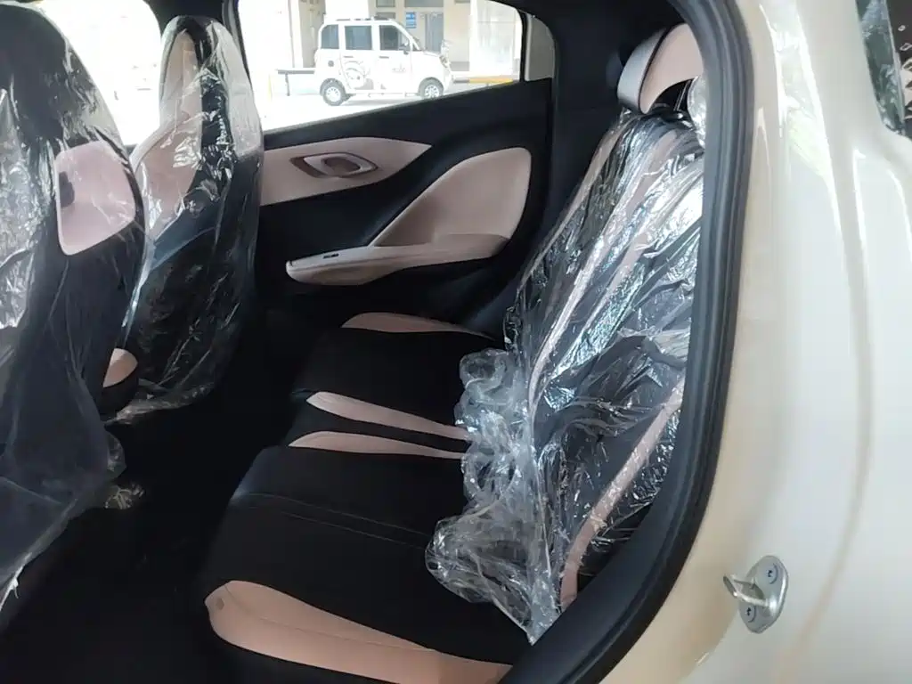BYD Seagull 2026 2025 Smart Drive Edition 305km Vitality Version