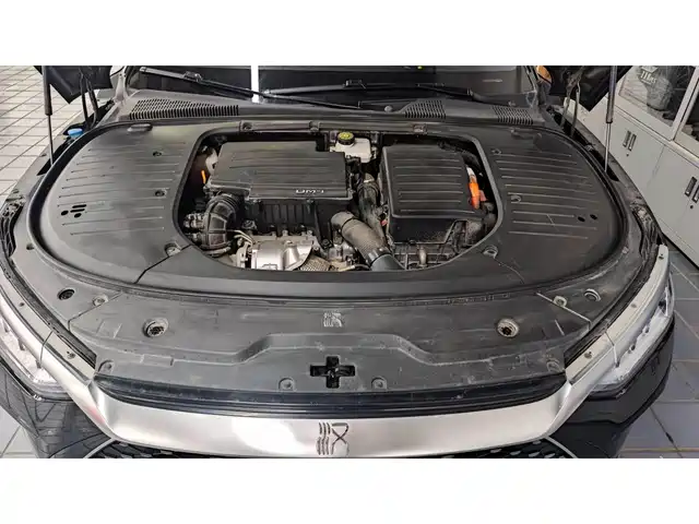 BYD Han 2022 DM-i 121KM Prestige — фото 3