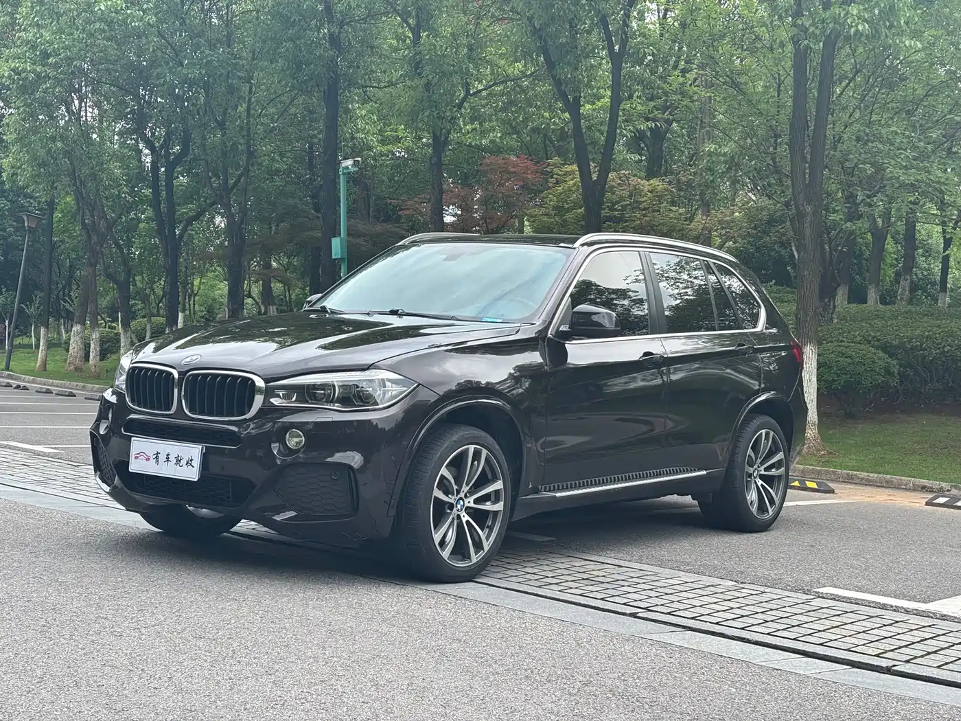 BMW X5 (Import) 2017 xDrive35i Elegance