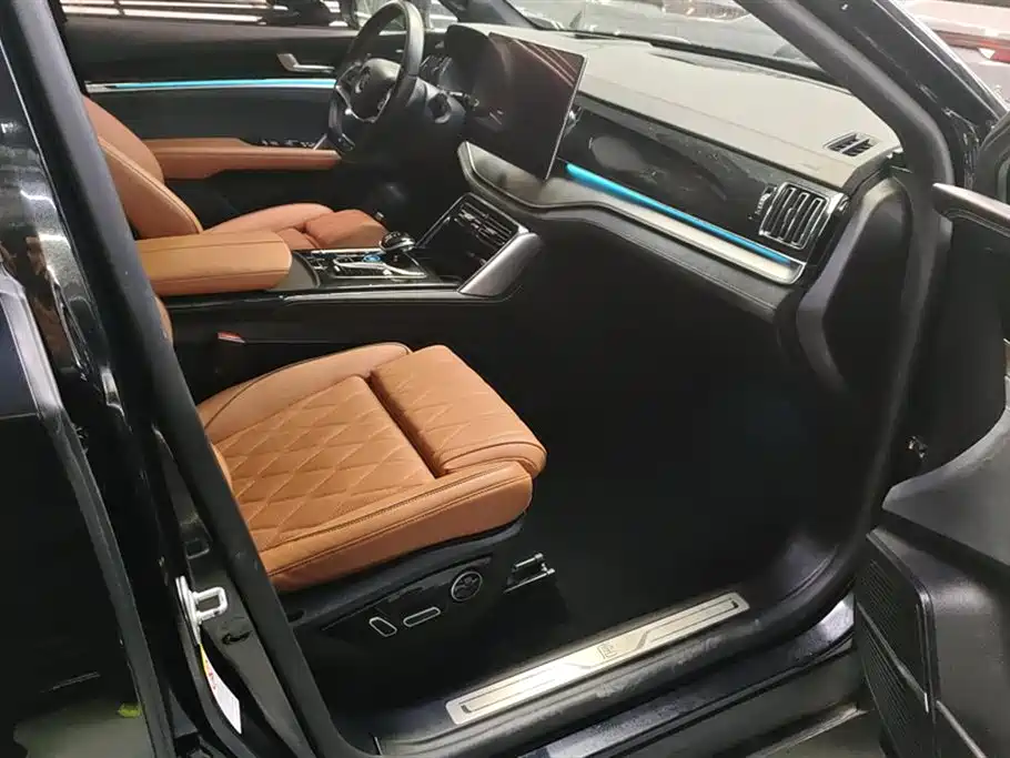 BYD Tang New Energy 2022 DM-i 252KM Executive фото 8