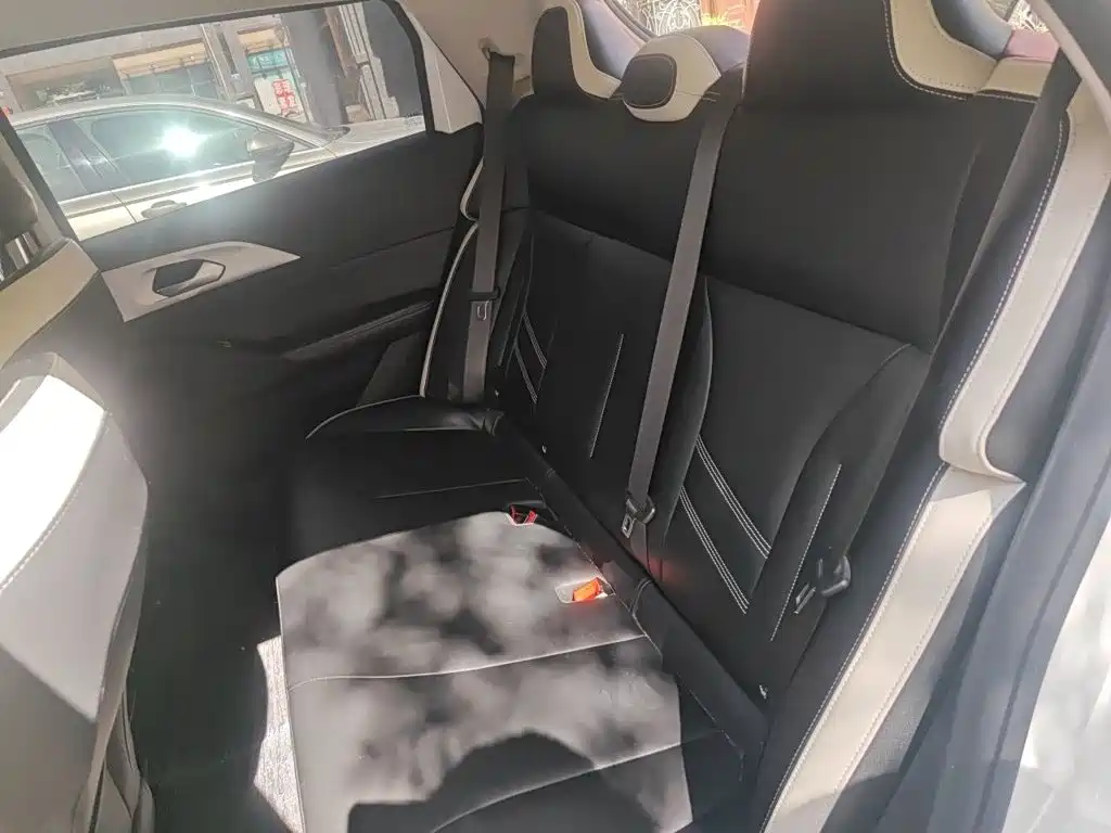 Geely Geometry E Firefly 2023 2023 320KM Cute Tiger 5-seater