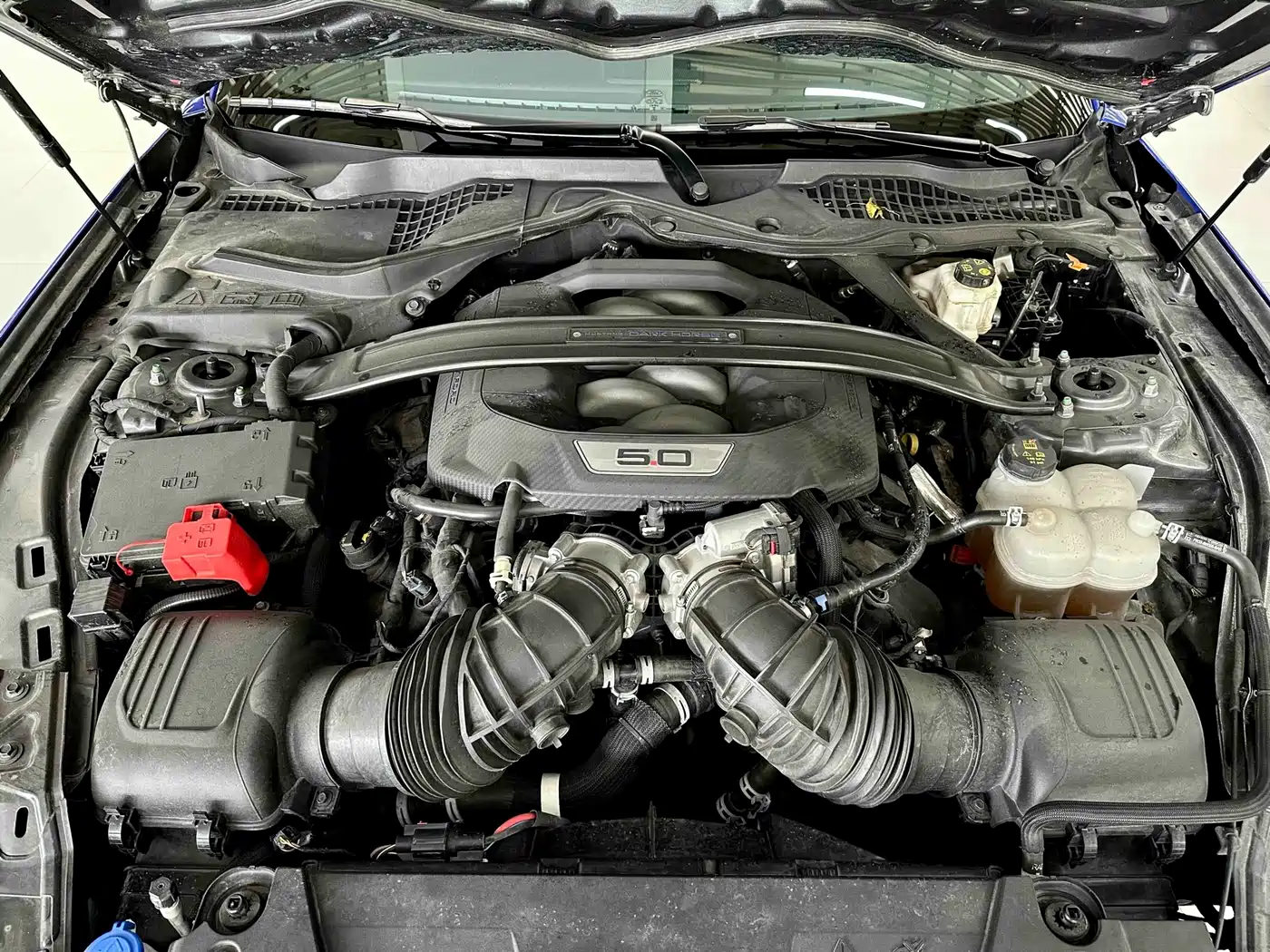 Ford Mustang 2024 5.0L V8 Dark Horse фото 14